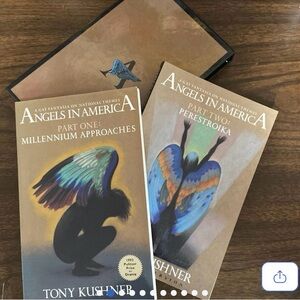 ANGELS IN AMERICA Box Set 2 Paperback Books 1st Edition LGBTQ Fiction Fantasia